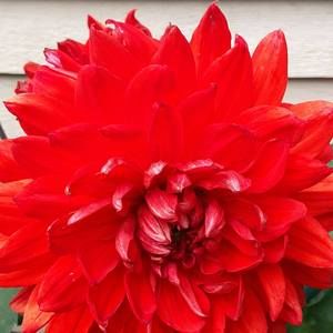 Meet your Posher, Teresita